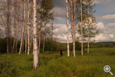 Klicka fÃ¶r stÃ¶rre