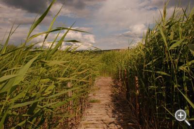 Klicka fÃ¶r stÃ¶rre