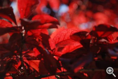 Klicka fÃ¶r stÃ¶rre