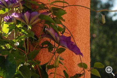 Klicka fÃ¶r stÃ¶rre