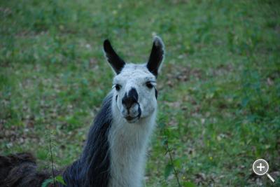 Klicka fÃ¶r stÃ¶rre