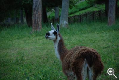 Klicka fÃ¶r stÃ¶rre