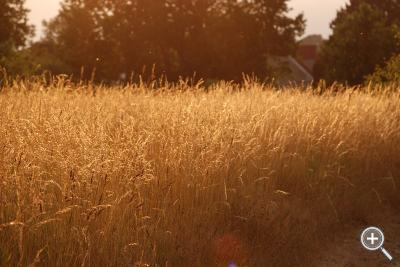 Klicka fÃ¶r stÃ¶rre