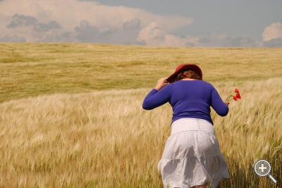 Klicka fÃ¶r stÃ¶rre