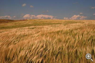 Klicka fÃ¶r stÃ¶rre