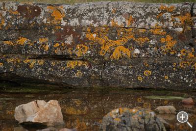 Klicka fÃ¶r stÃ¶rre