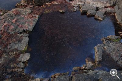 Klicka fÃ¶r stÃ¶rre