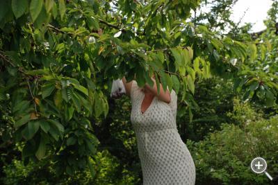 Klicka fÃ¶r stÃ¶rre