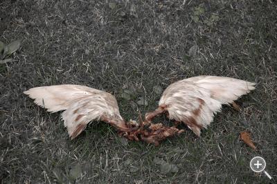 Klicka fÃ¶r stÃ¶rre