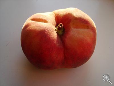 Klicka fÃ¶r stÃ¶rre