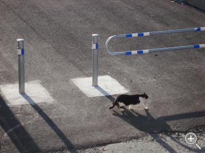 Klicka fÃ¶r stÃ¶rre