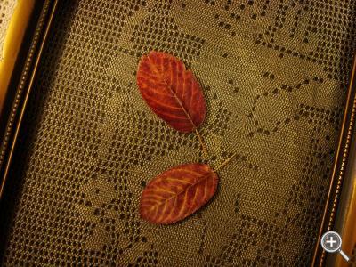 Klicka fÃ¶r stÃ¶rre