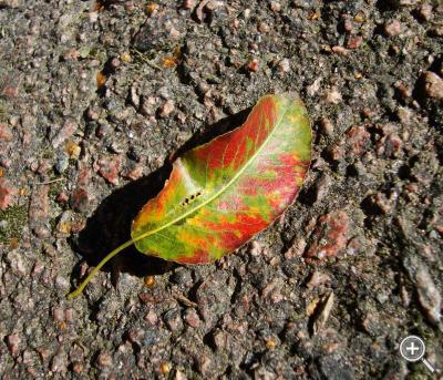 Klicka fÃ¶r stÃ¶rre