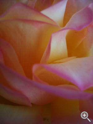 Klicka fÃ¶r stÃ¶rre