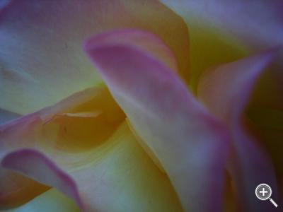 Klicka fÃ¶r stÃ¶rre