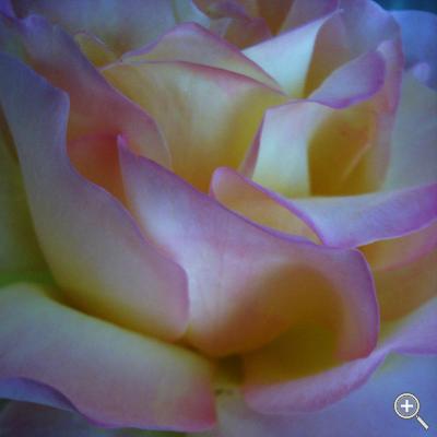 Klicka fÃ¶r stÃ¶rre