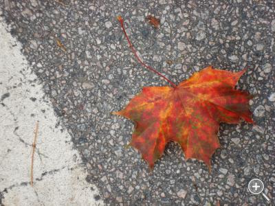 Klicka fÃ¶r stÃ¶rre