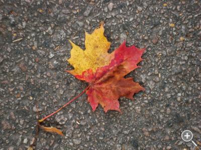 Klicka fÃ¶r stÃ¶rre