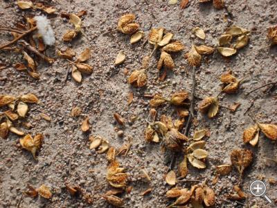 Klicka fÃ¶r stÃ¶rre