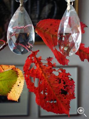 Klicka fÃ¶r stÃ¶rre