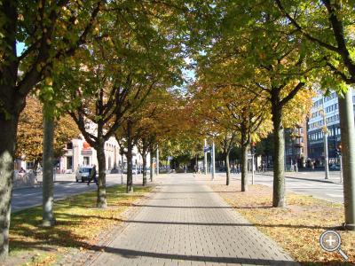 Klicka fÃ¶r stÃ¶rre