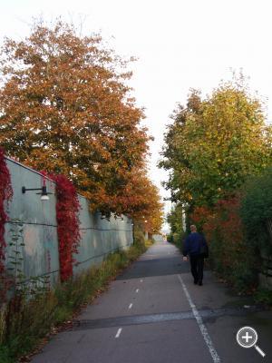 Klicka fÃ¶r stÃ¶rre