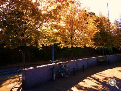 Klicka fÃ¶r stÃ¶rre