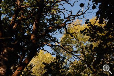 Klicka fÃ¶r stÃ¶rre