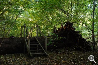 Klicka fÃ¶r stÃ¶rre