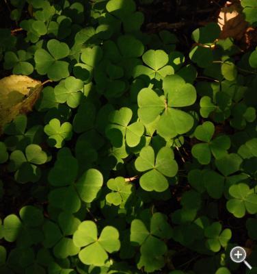Klicka fÃ¶r stÃ¶rre