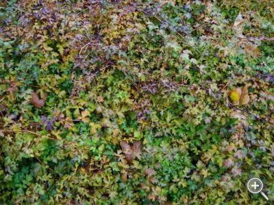 Klicka fÃ¶r stÃ¶rre