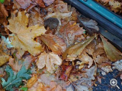 Klicka fÃ¶r stÃ¶rre