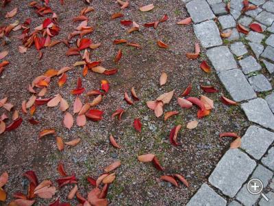 Klicka fÃ¶r stÃ¶rre