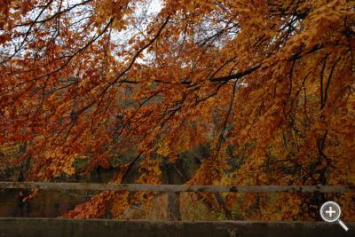Klicka fÃ¶r stÃ¶rre