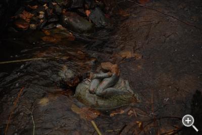 Klicka fÃ¶r stÃ¶rre