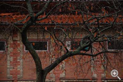 Klicka fÃ¶r stÃ¶rre