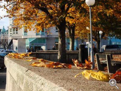 Klicka fÃ¶r stÃ¶rre