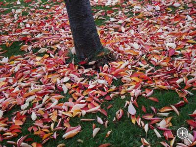 Klicka fÃ¶r stÃ¶rre