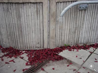 Klicka fÃ¶r stÃ¶rre