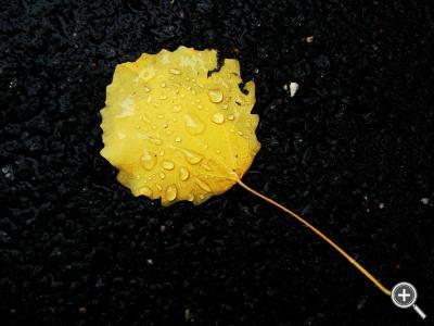 Klicka fÃ¶r stÃ¶rre