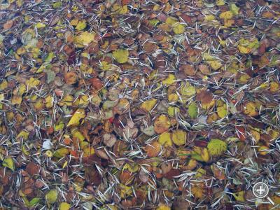 Klicka fÃ¶r stÃ¶rre