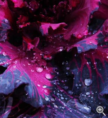 Klicka fÃ¶r stÃ¶rre