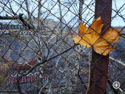 Klicka fÃ¶r stÃ¶rre