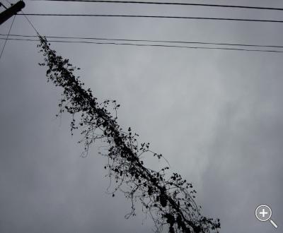 Klicka fÃ¶r stÃ¶rre