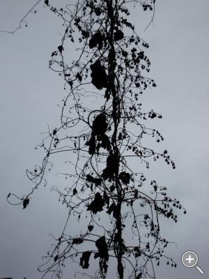 Klicka fÃ¶r stÃ¶rre