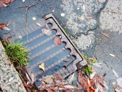 Klicka fÃ¶r stÃ¶rre