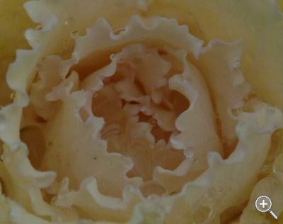 Klicka fÃ¶r stÃ¶rre