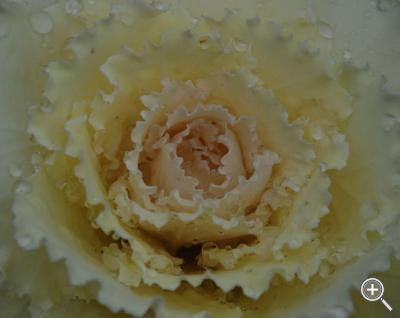 Klicka fÃ¶r stÃ¶rre