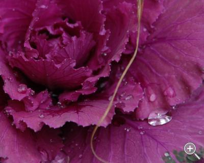 Klicka fÃ¶r stÃ¶rre