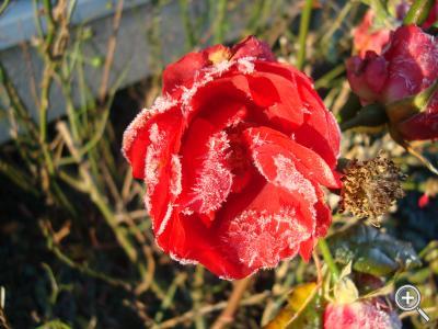 Klicka fÃ¶r stÃ¶rre